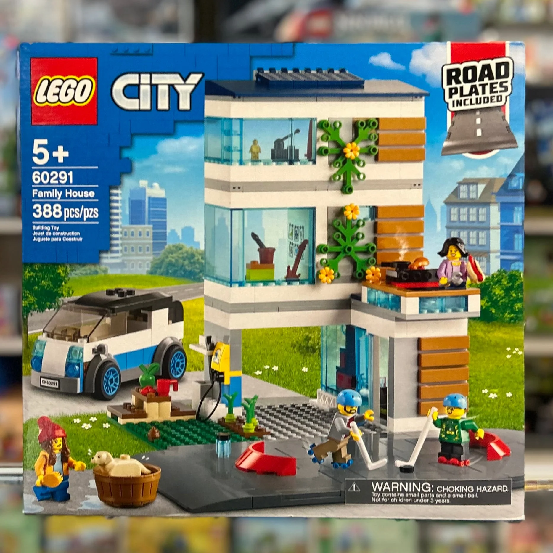 60291 - Family House - EMPTY BOX ONLY