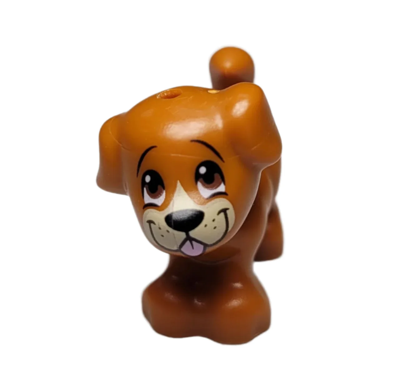 Dog, Bruno - 93088pb11