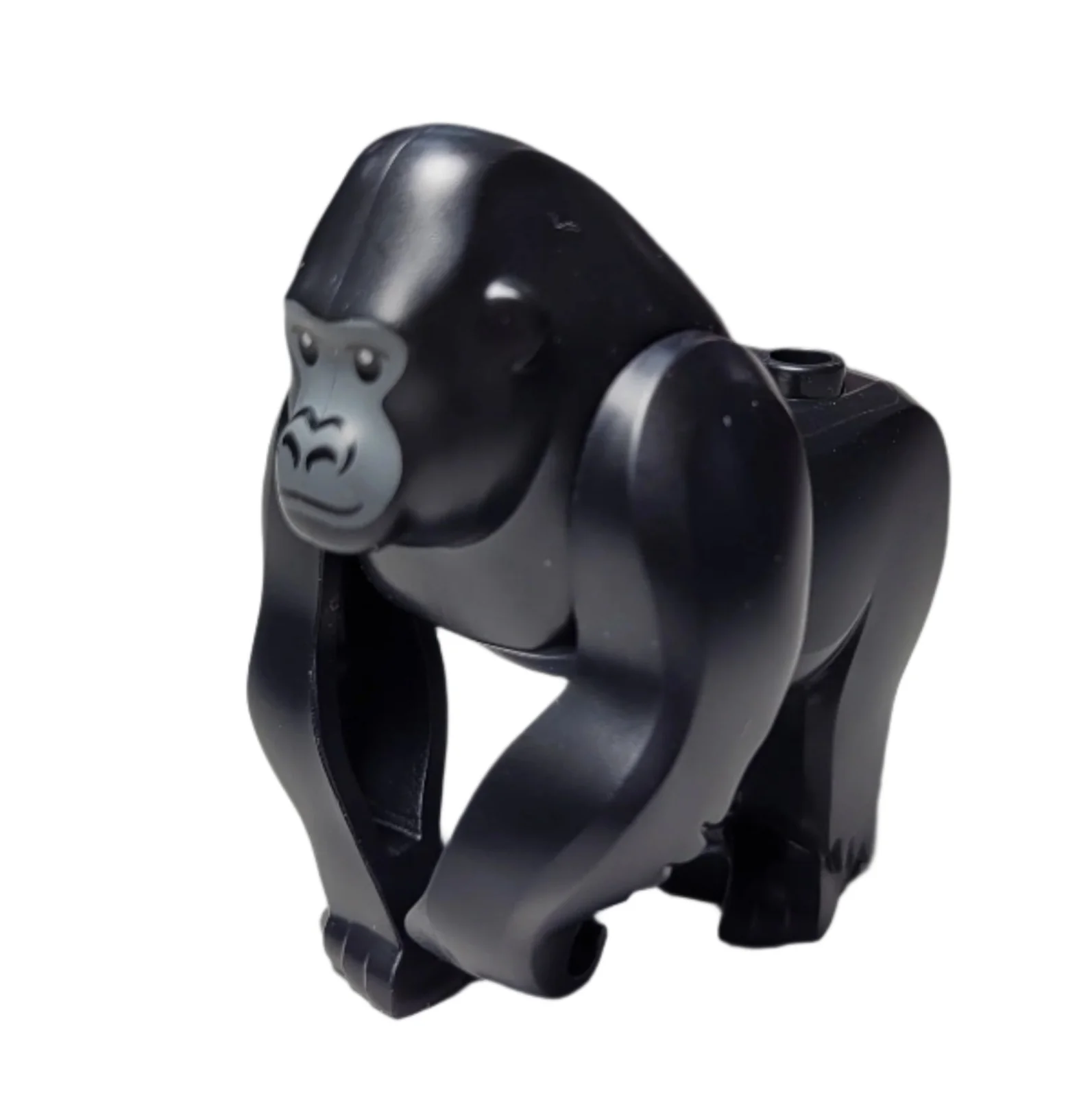 Gorilla, gorilla01 - Image 2