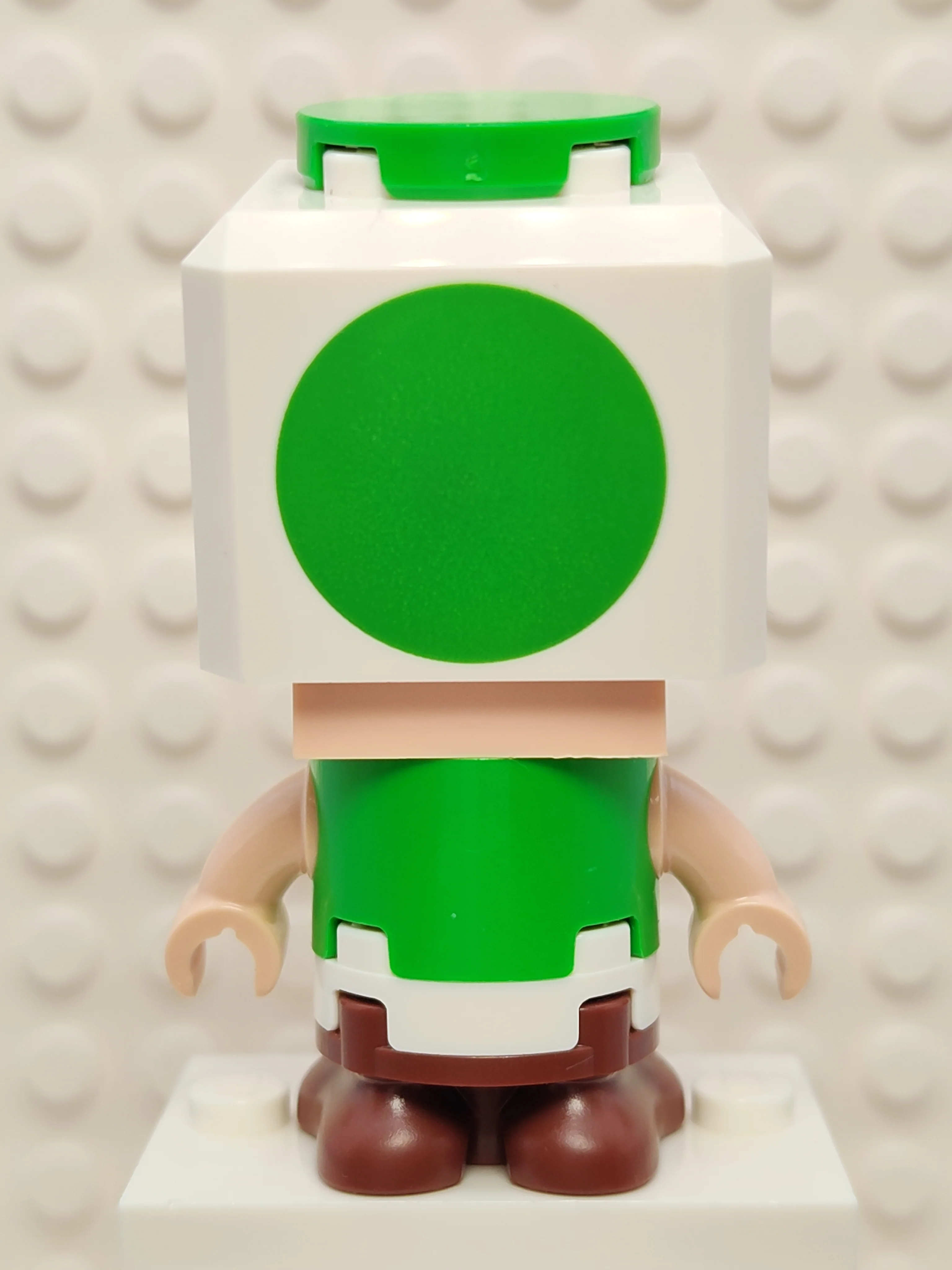 Green Toad, mar0152 - Image 3