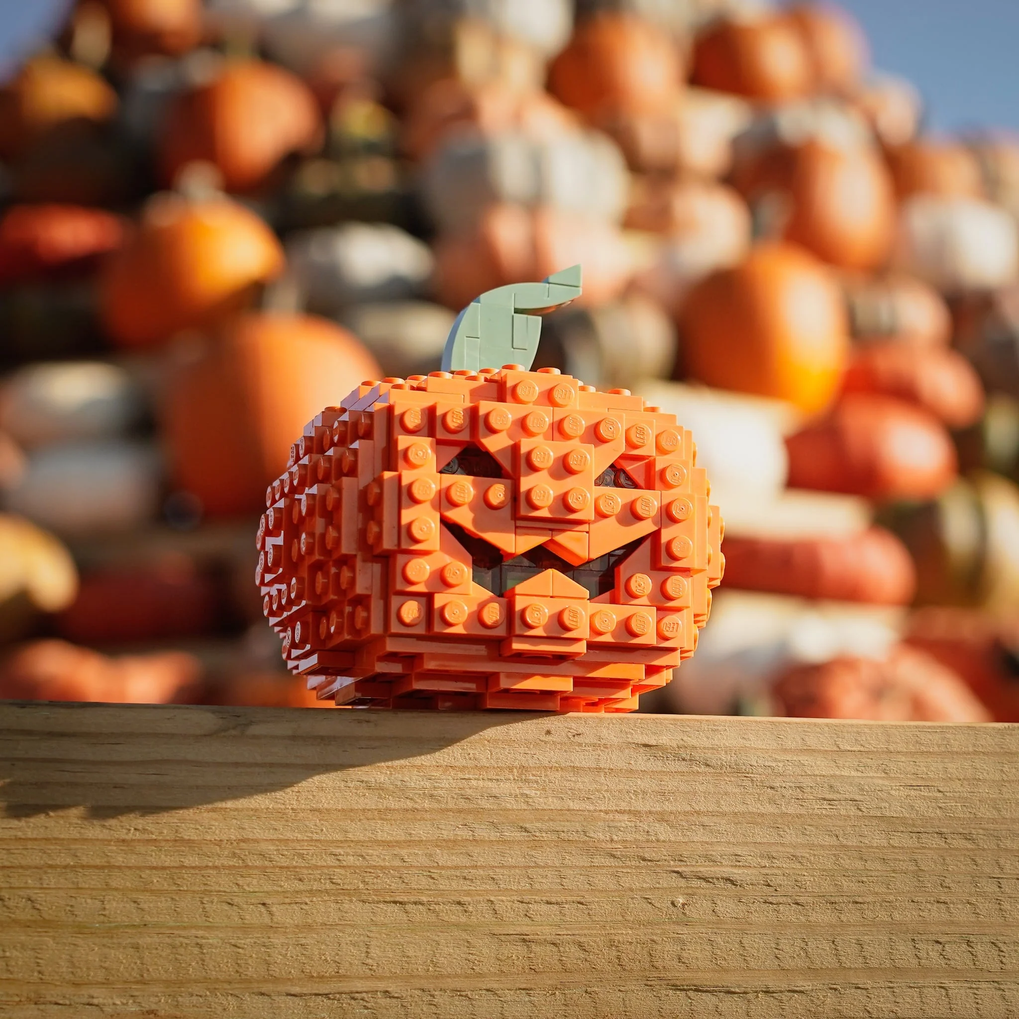 Jack-o-Lantern - Image 8