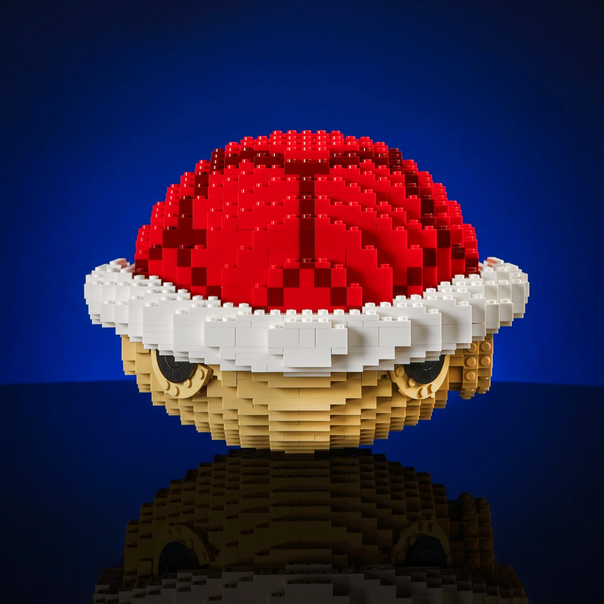 Life-Sized Red Shell - Image 3