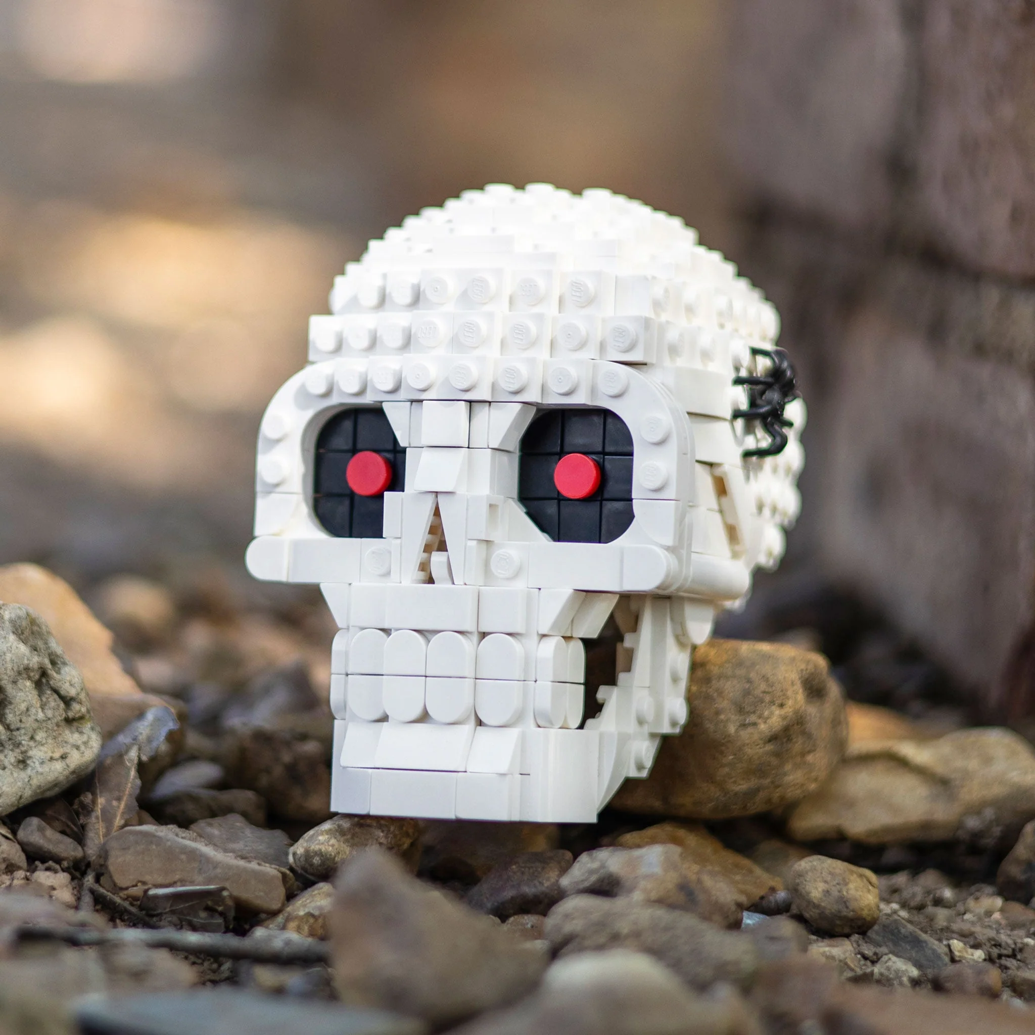 Skull - Image 10