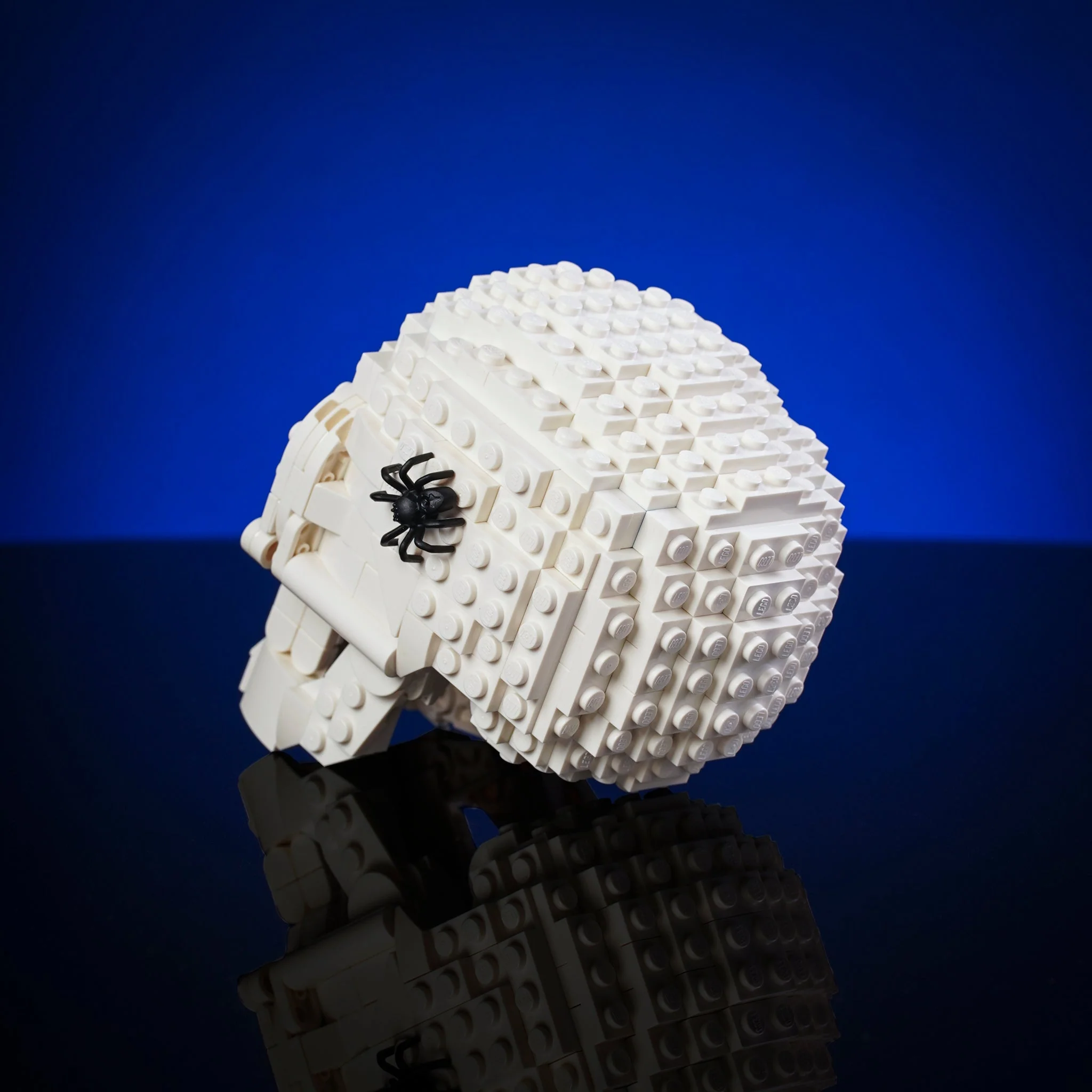 Skull - Image 5